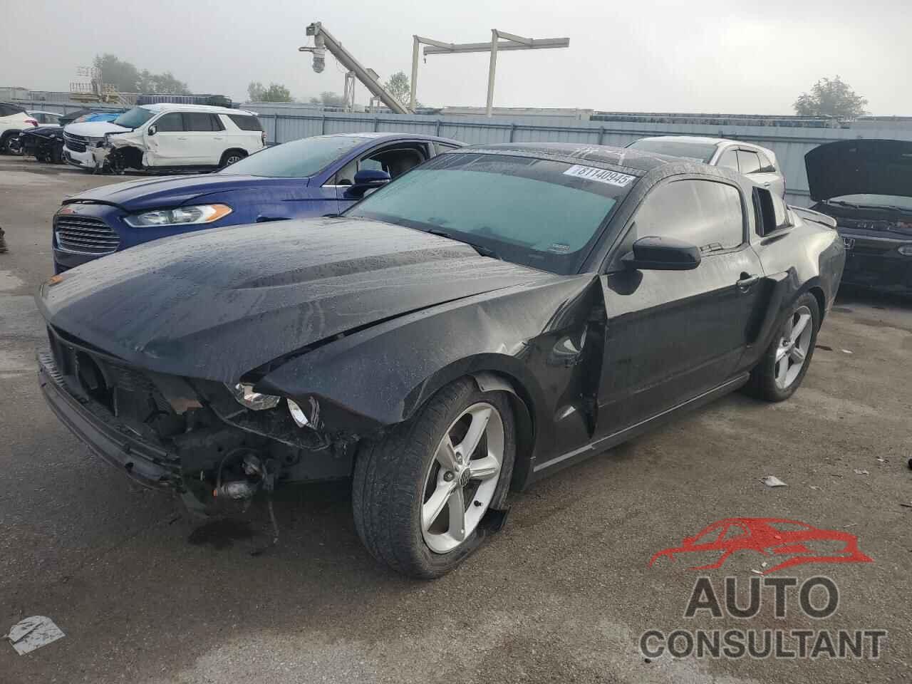 FORD MUSTANG 2011 - 1ZVBP8CF8B5100451
