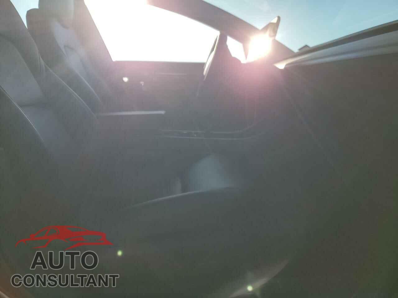 TESLA MODEL 3 2019 - 5YJ3E1EA8KF411561