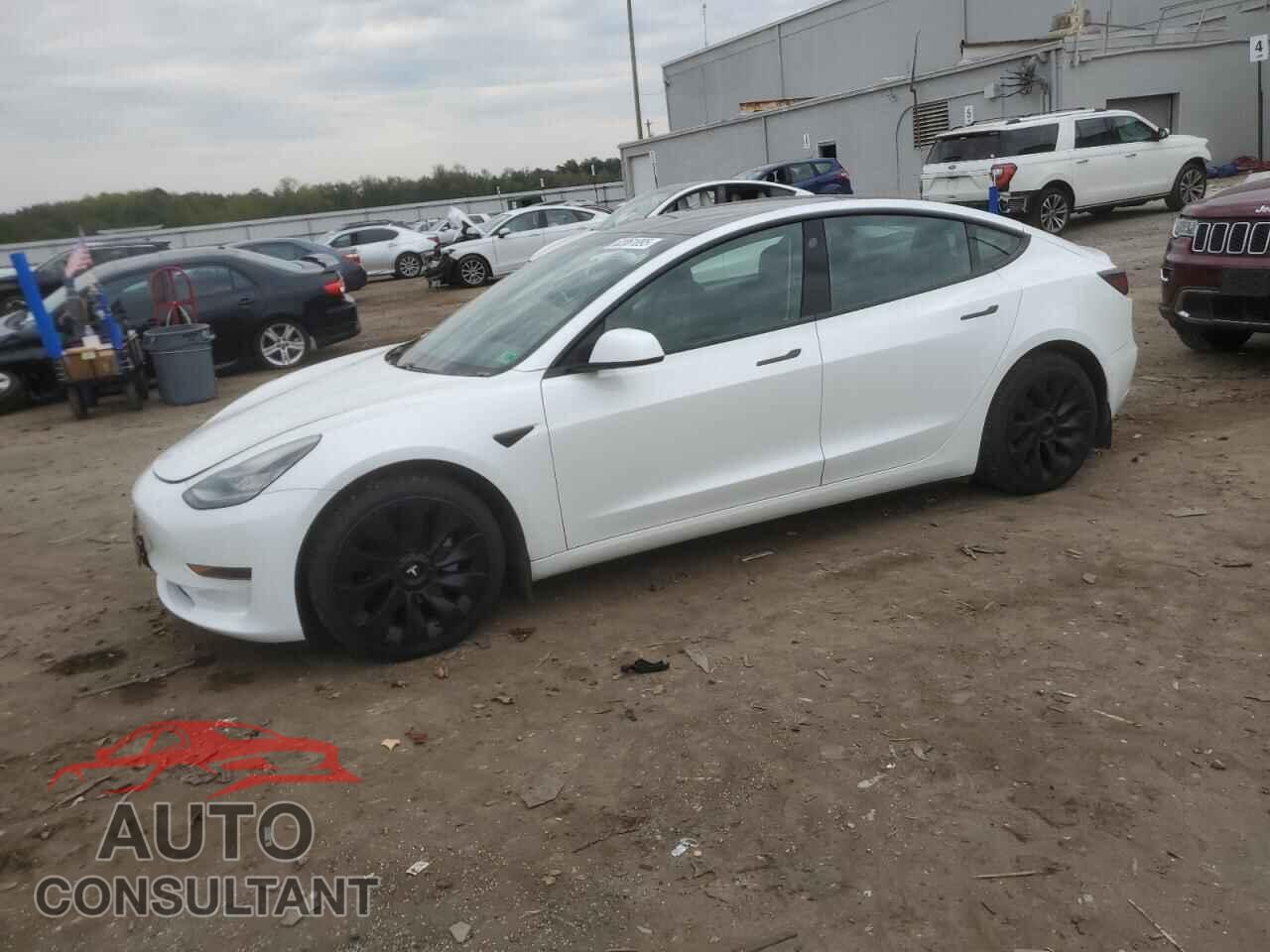 TESLA MODEL 3 2021 - 5YJ3E1EA1MF854296