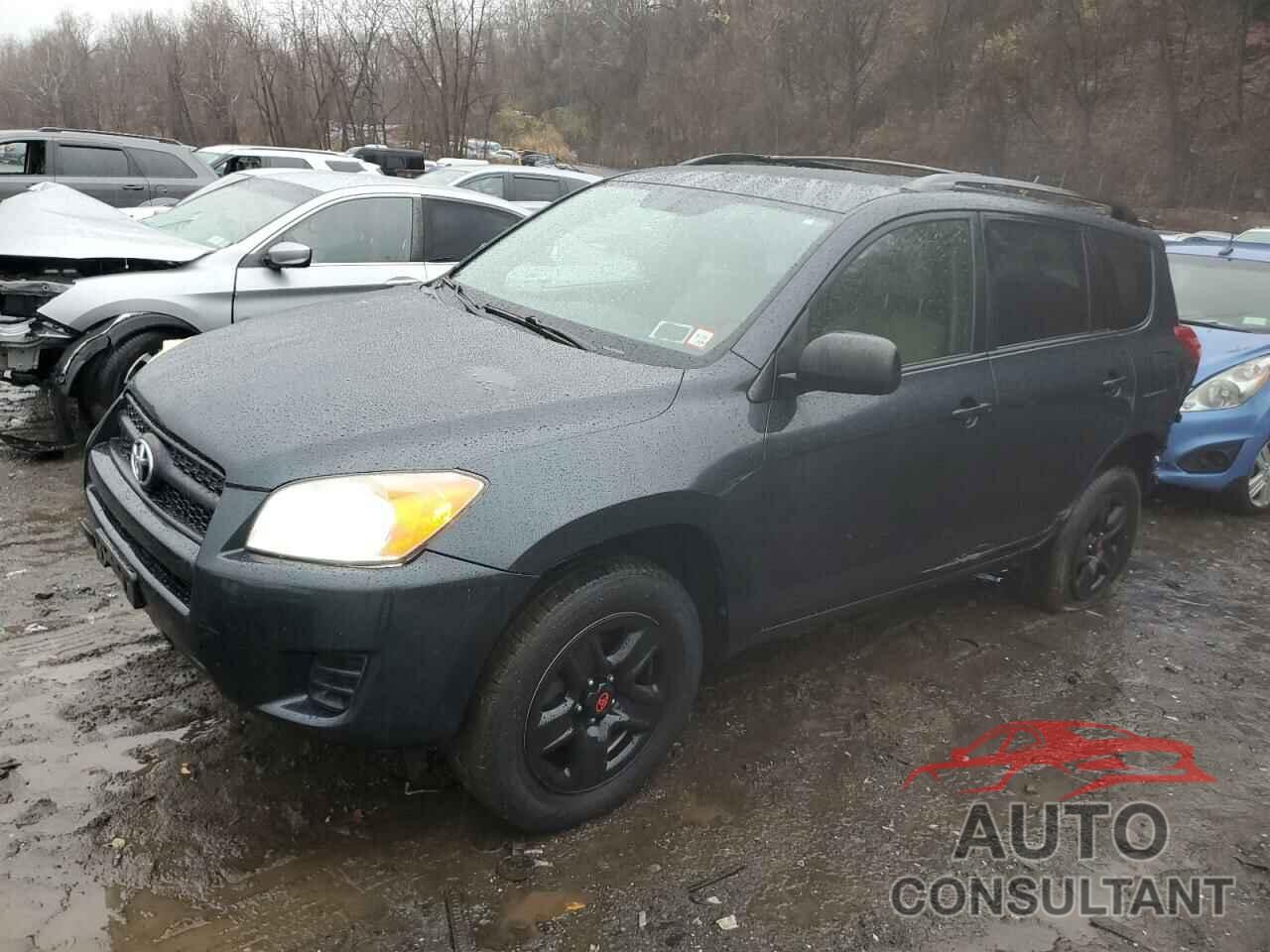 TOYOTA RAV4 2011 - 2T3BF4DV1BW084400