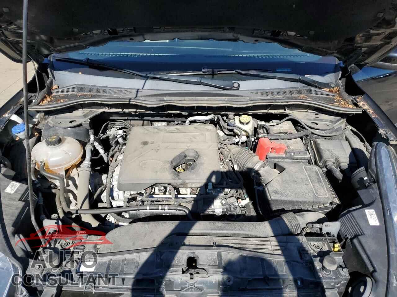 FORD ESCAPE 2020 - 1FMCU9H61LUA98589
