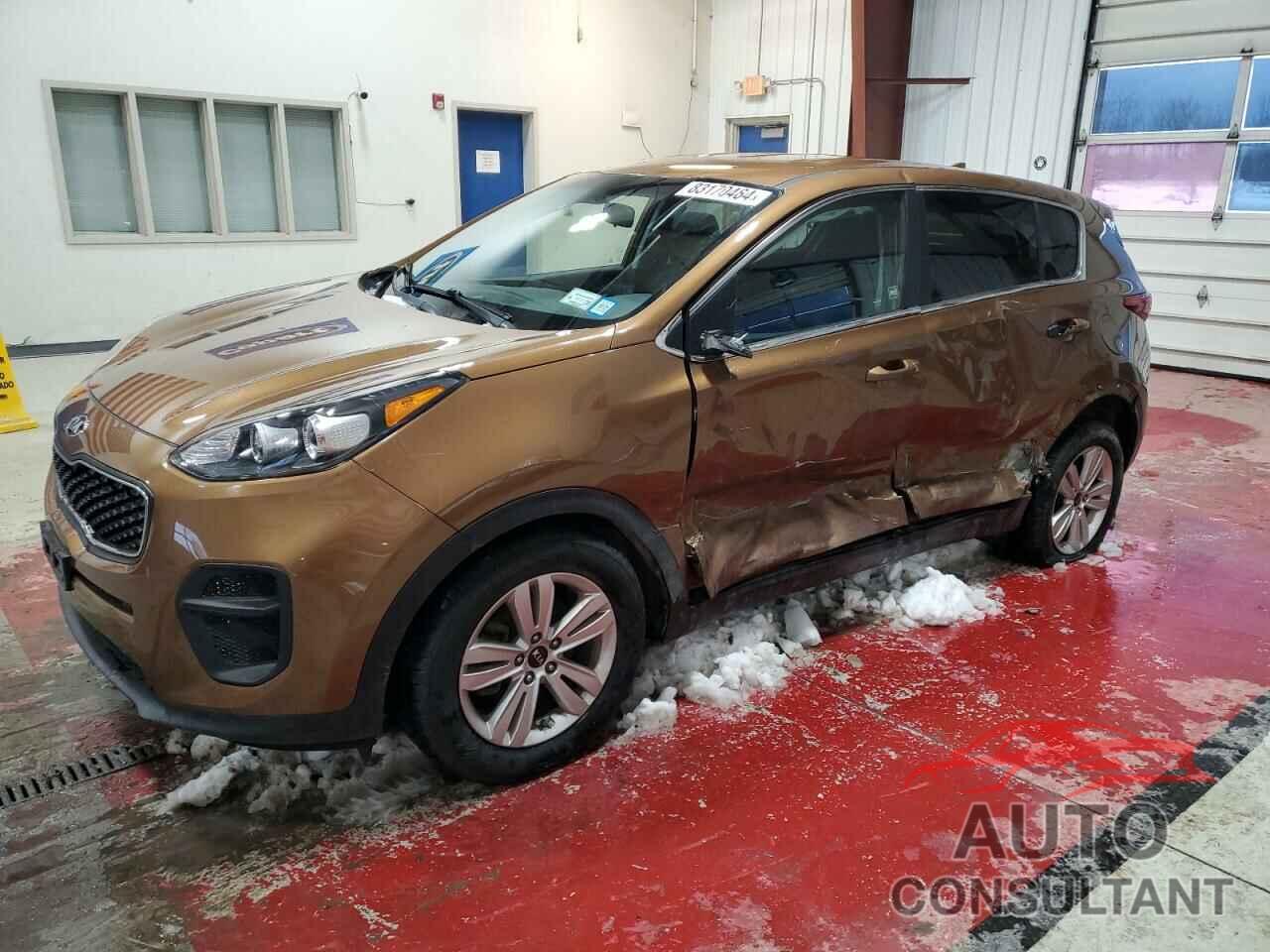 KIA SPORTAGE 2019 - KNDPM3AC5K7519312