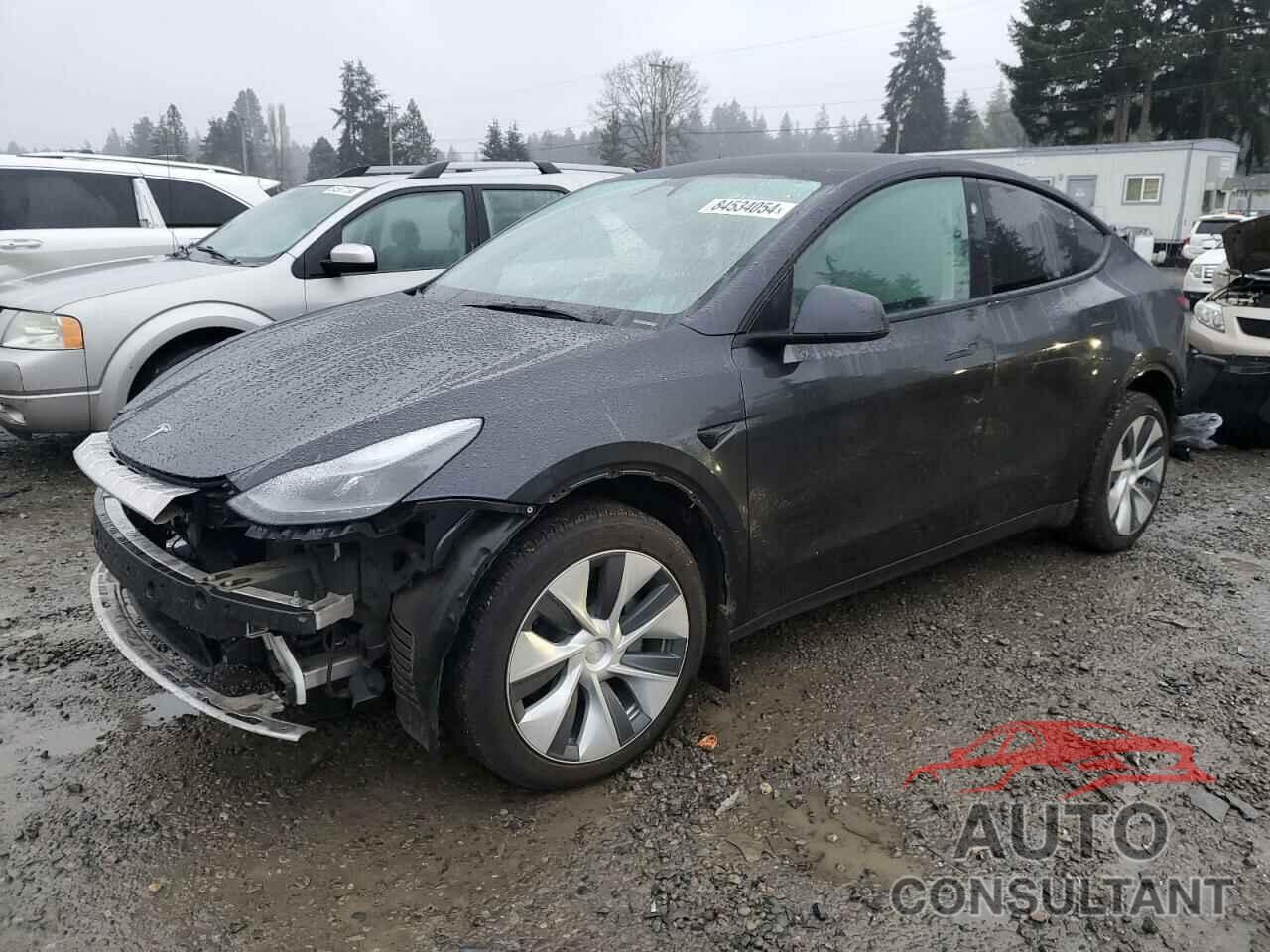 TESLA MODEL Y 2024 - 7SAYGDEE1RF993262