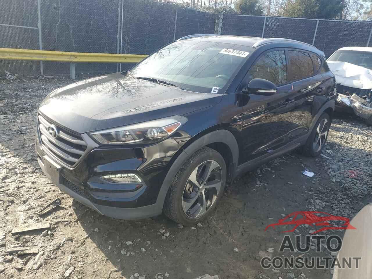 HYUNDAI TUCSON 2016 - KM8J3CA25GU129587