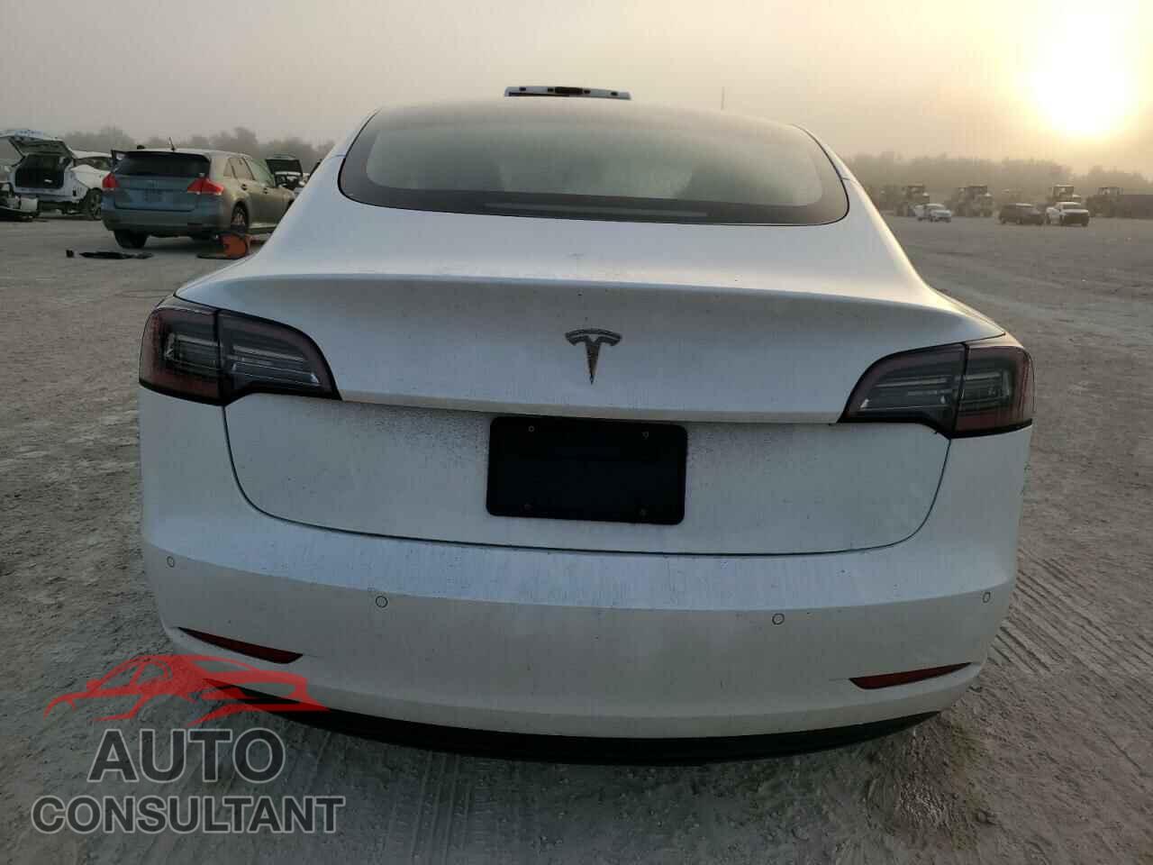TESLA MODEL 3 2021 - 5YJ3E1EA7MF855081