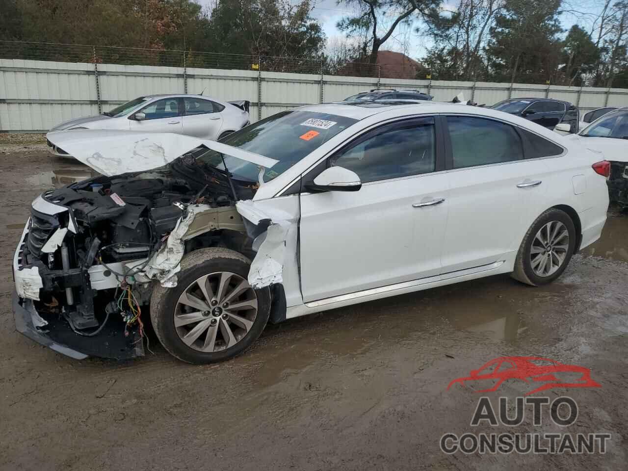 HYUNDAI SONATA 2017 - 5NPE34AF1HH497243