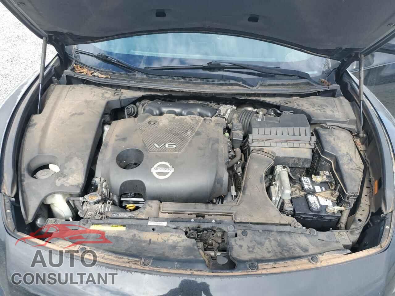 NISSAN MAXIMA 2009 - 1N4AA51E49C845850