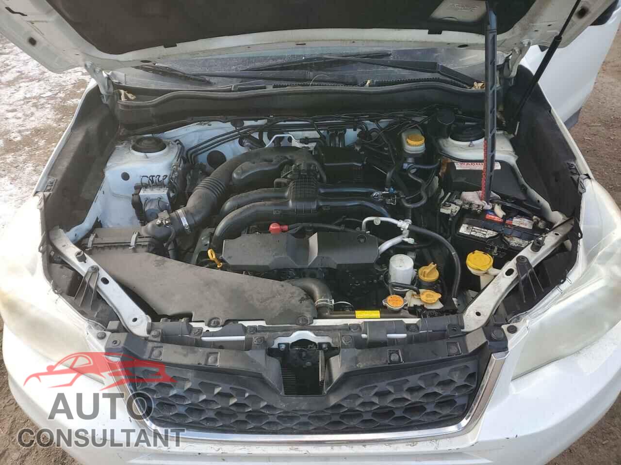 SUBARU FORESTER 2014 - JF2SJAAC4EG431042