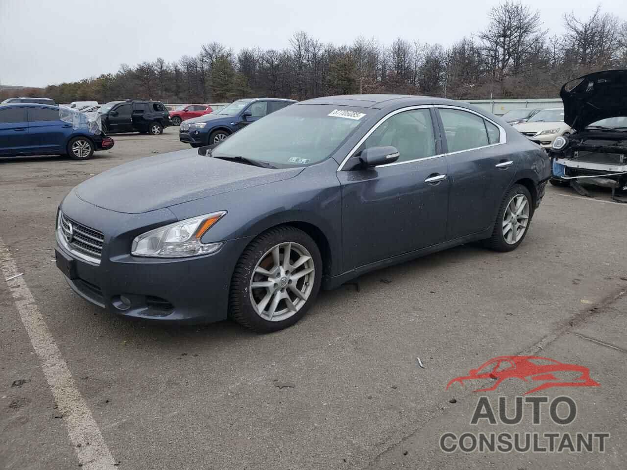 NISSAN MAXIMA 2009 - 1N4AA51E59C857490