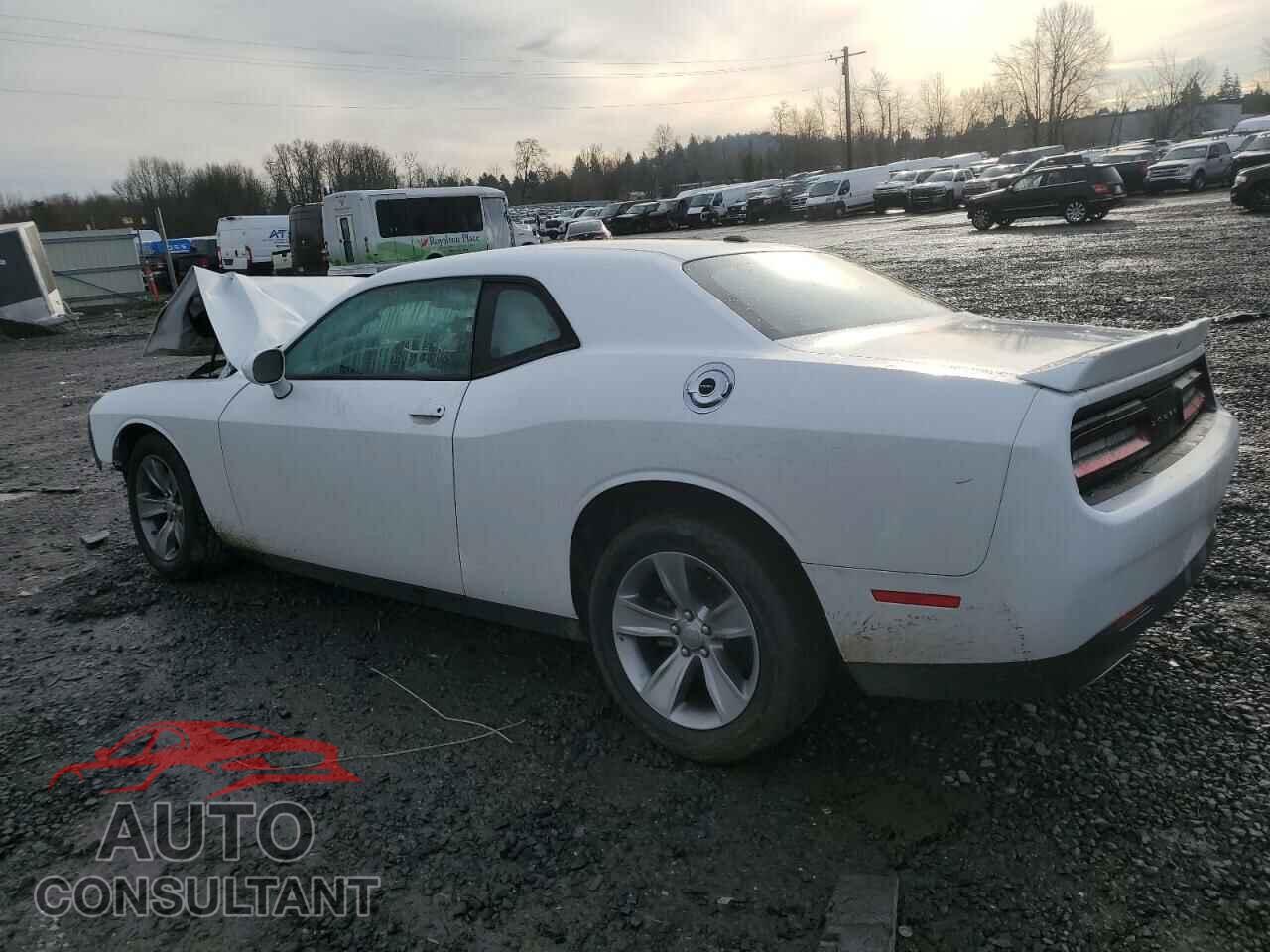 DODGE CHALLENGER 2019 - 2C3CDZAG5KH525494