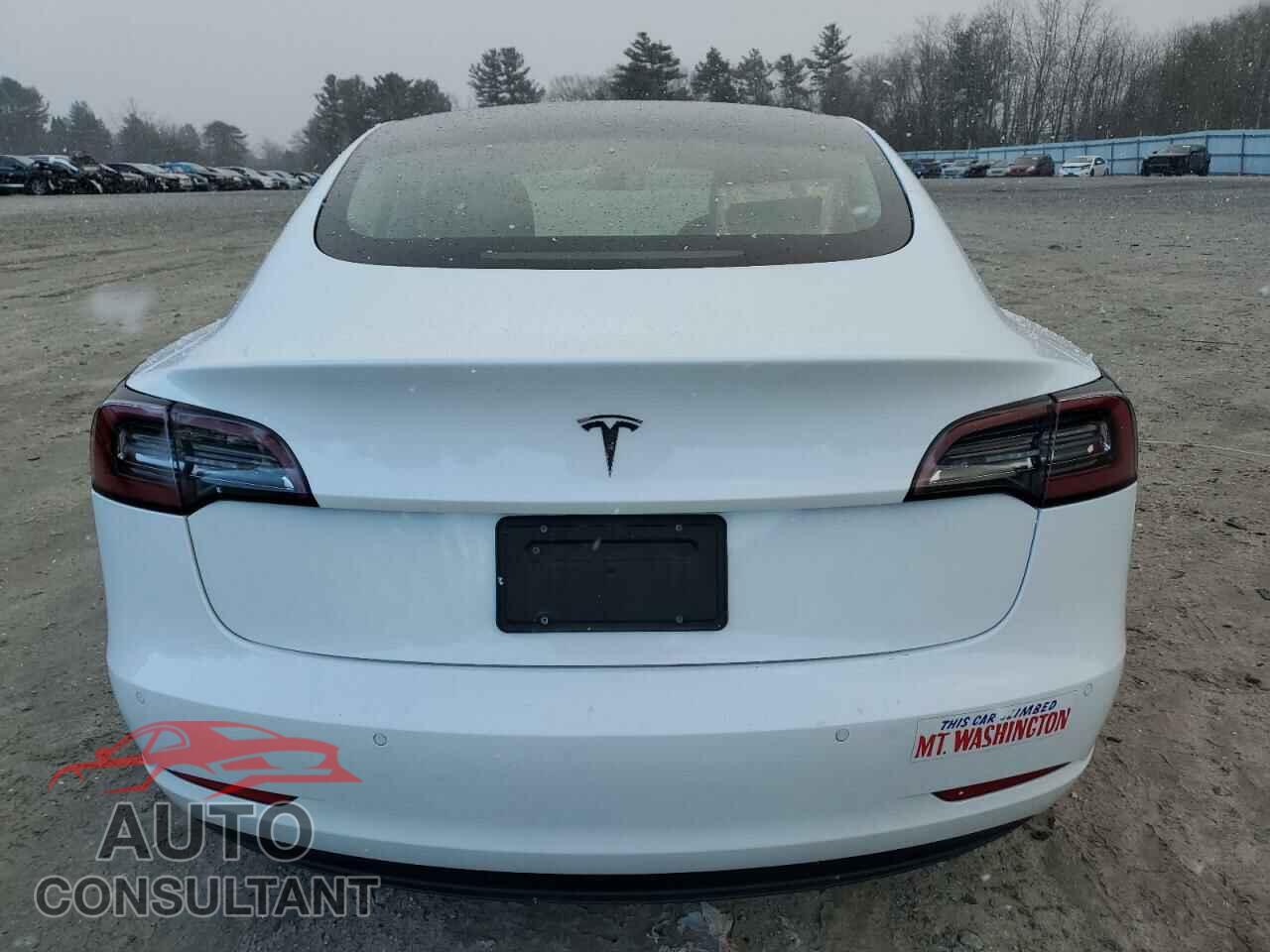 TESLA MODEL 3 2021 - 5YJ3E1EA9MF961256