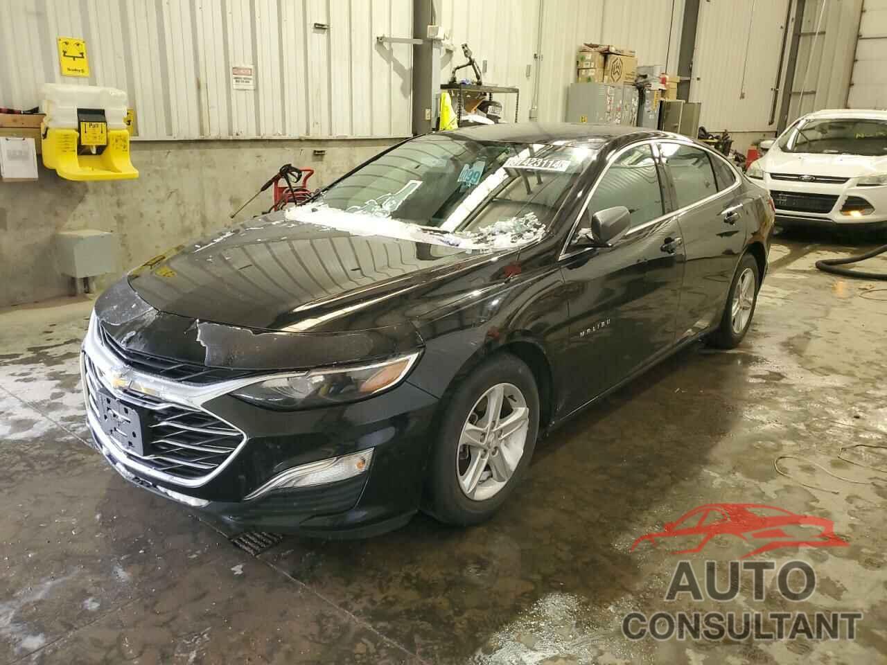 CHEVROLET MALIBU 2019 - 1G1ZB5ST8KF225524