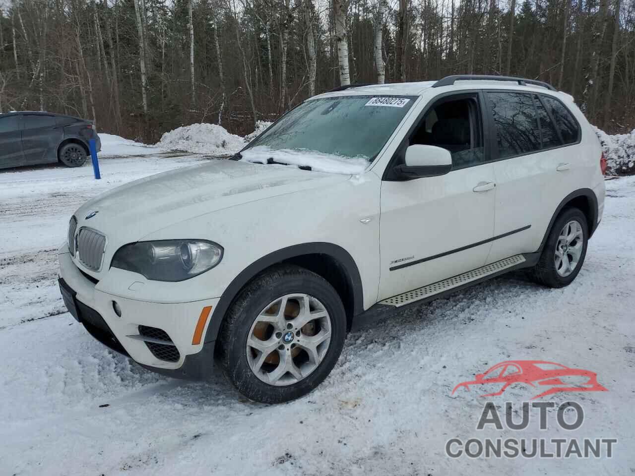 BMW X5 2011 - 5UXZW0C51BL368913