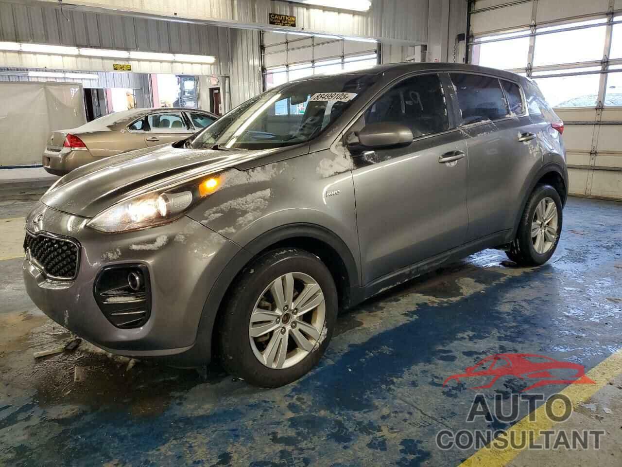 KIA SPORTAGE 2017 - KNDPMCAC4H7127477