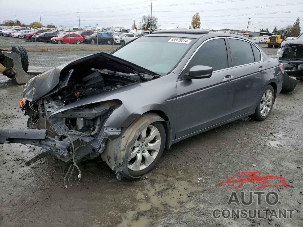 HONDA ACCORD 2009 - JHMCP26889C000811