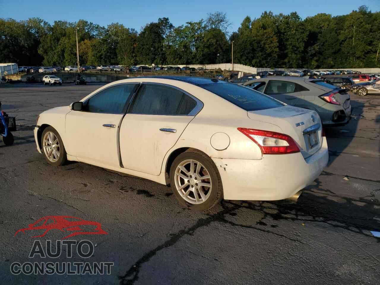 NISSAN MAXIMA 2011 - 1N4AA5AP5BC826828