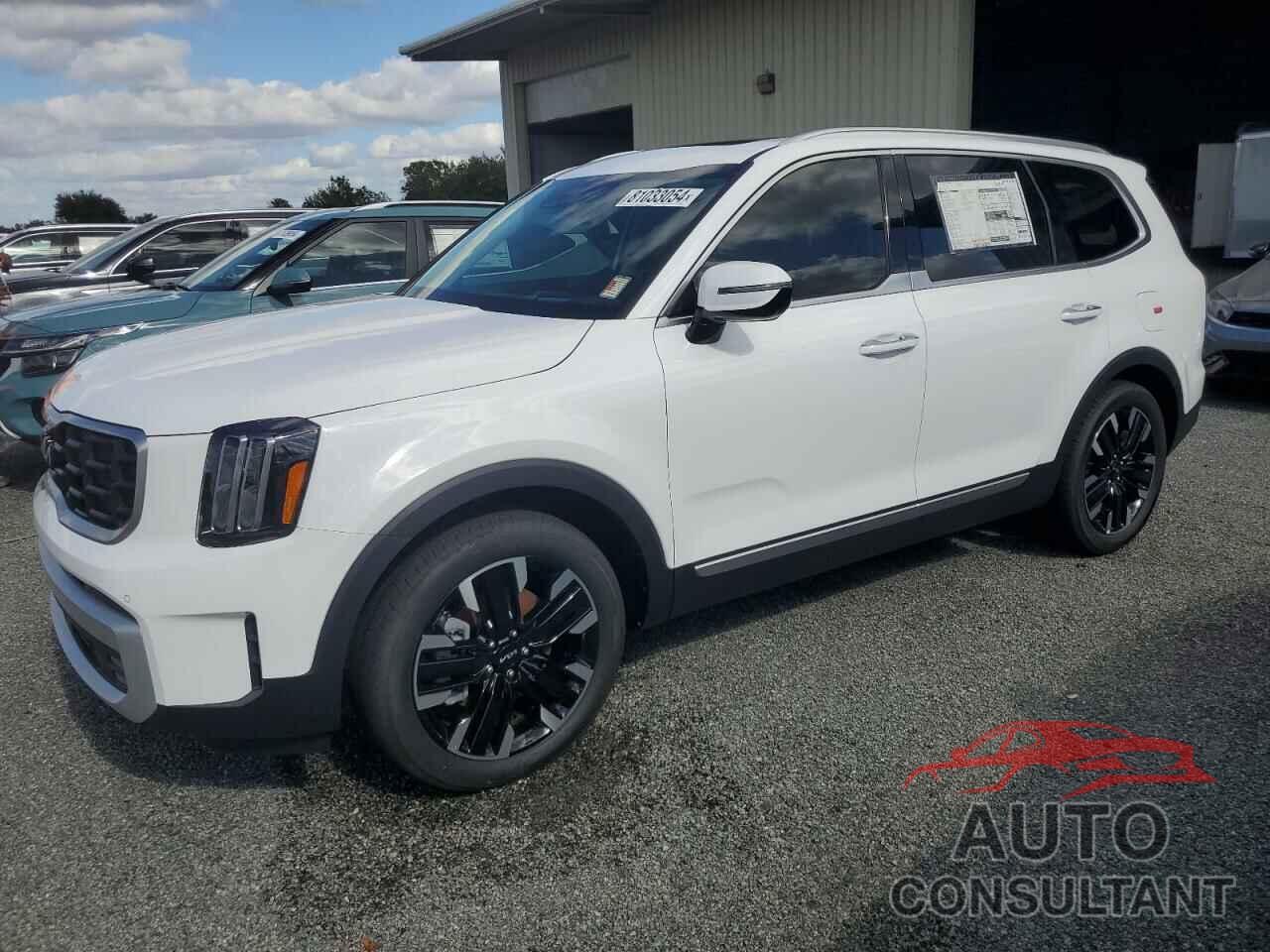 KIA TELLURIDE 2024 - 5XYP5DGC2RG549861