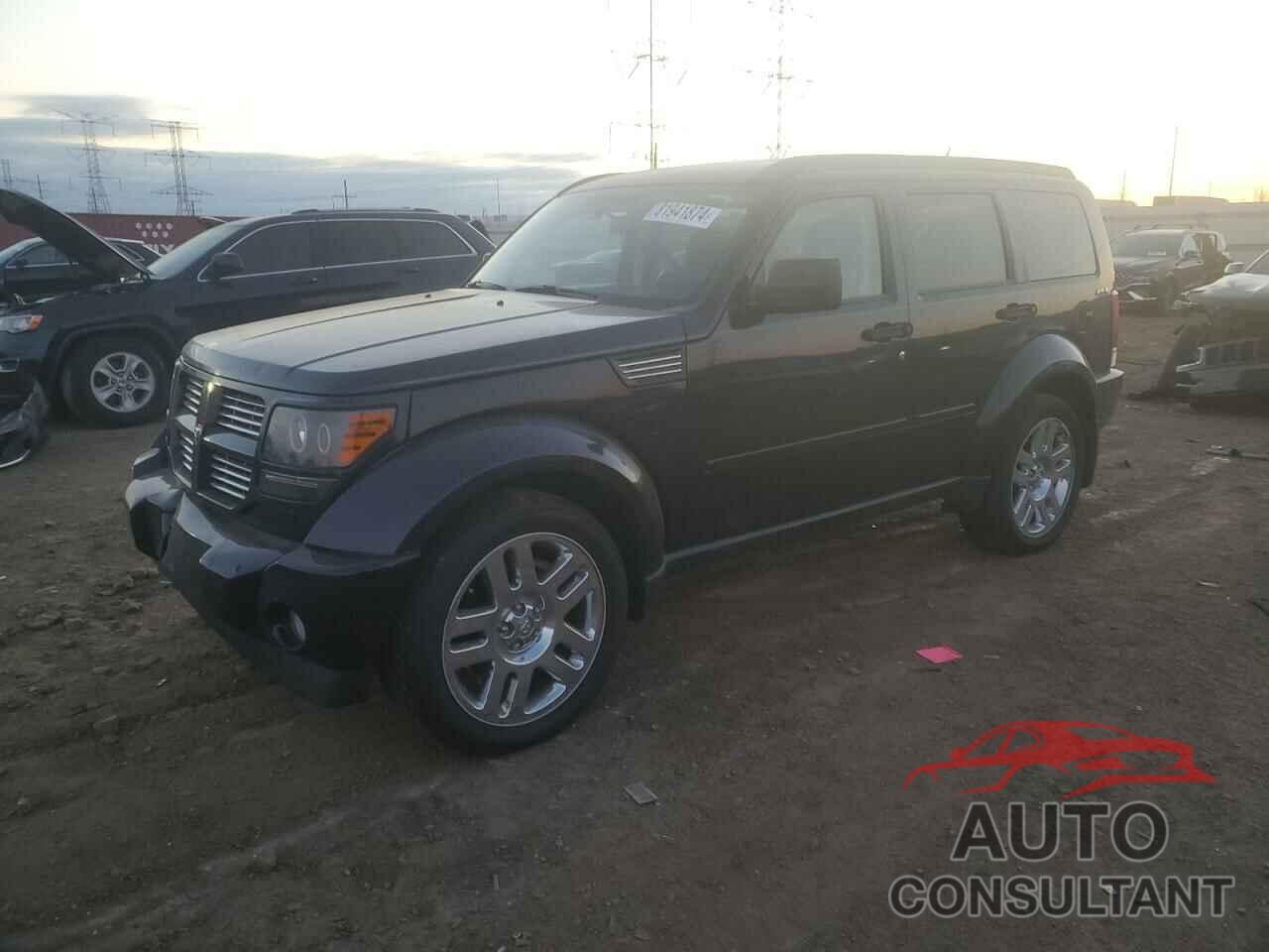 DODGE NITRO 2011 - 1D4PU4GK6BW565955