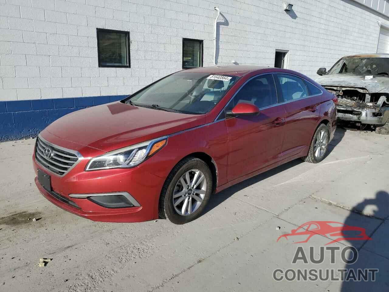 HYUNDAI SONATA 2016 - 5NPE24AF3GH343912