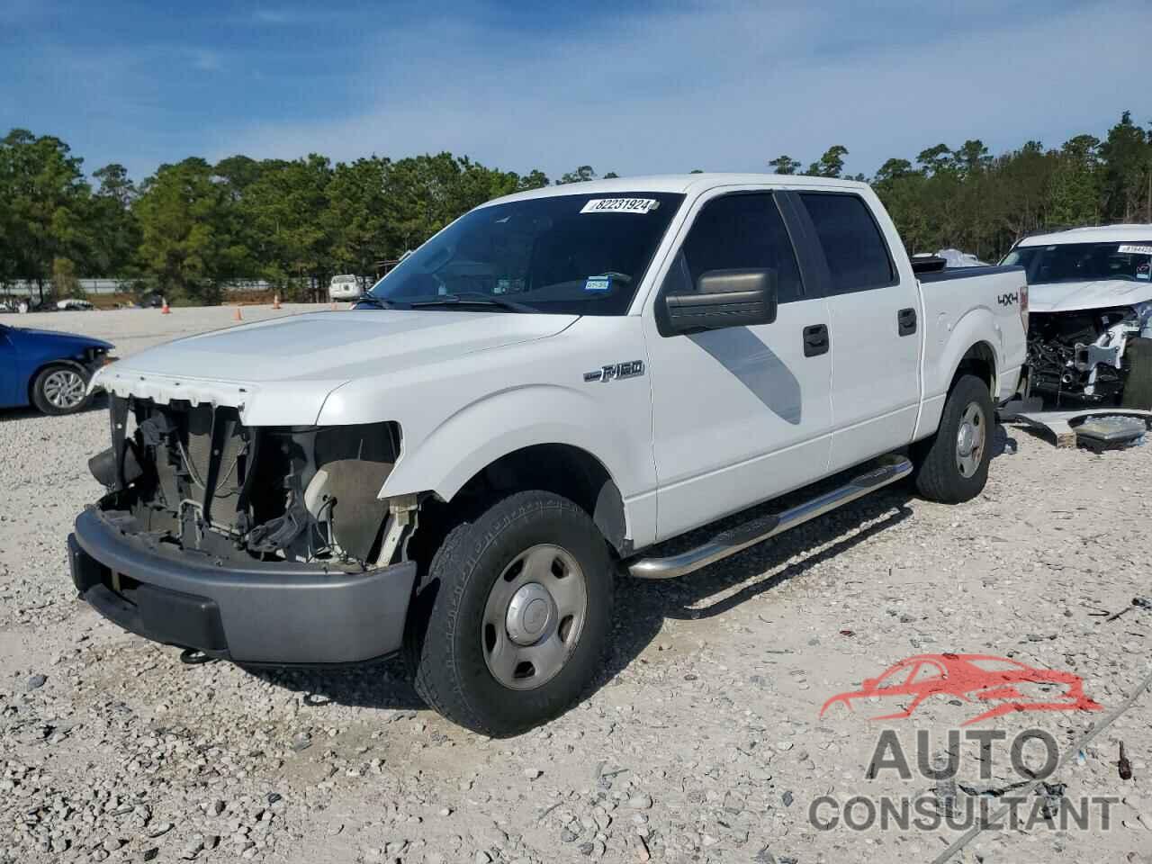 FORD F-150 2009 - 1FTRW14849KC93138