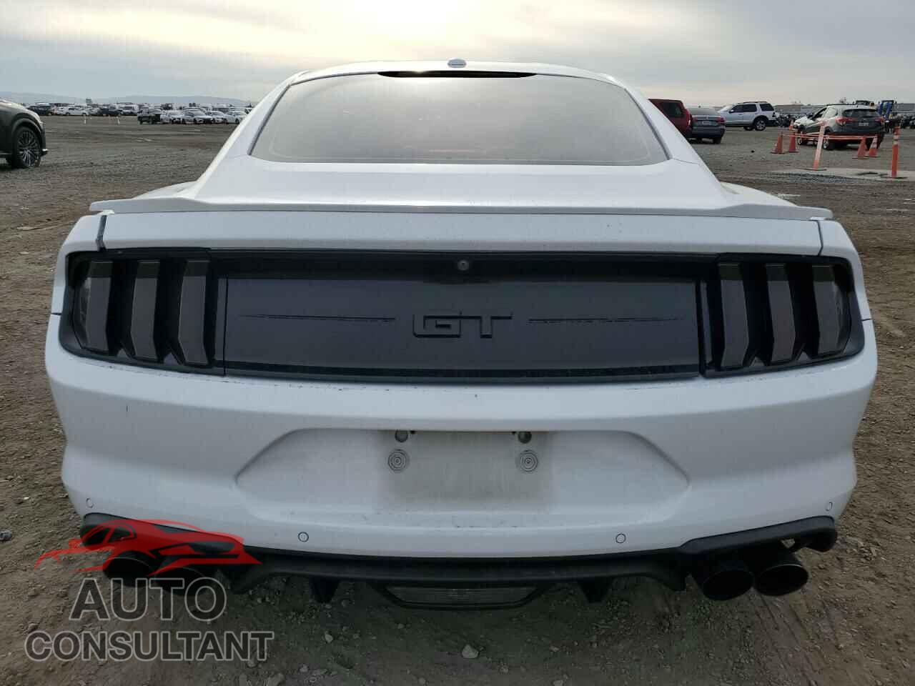 FORD MUSTANG 2019 - 1FA6P8CF8K5158098
