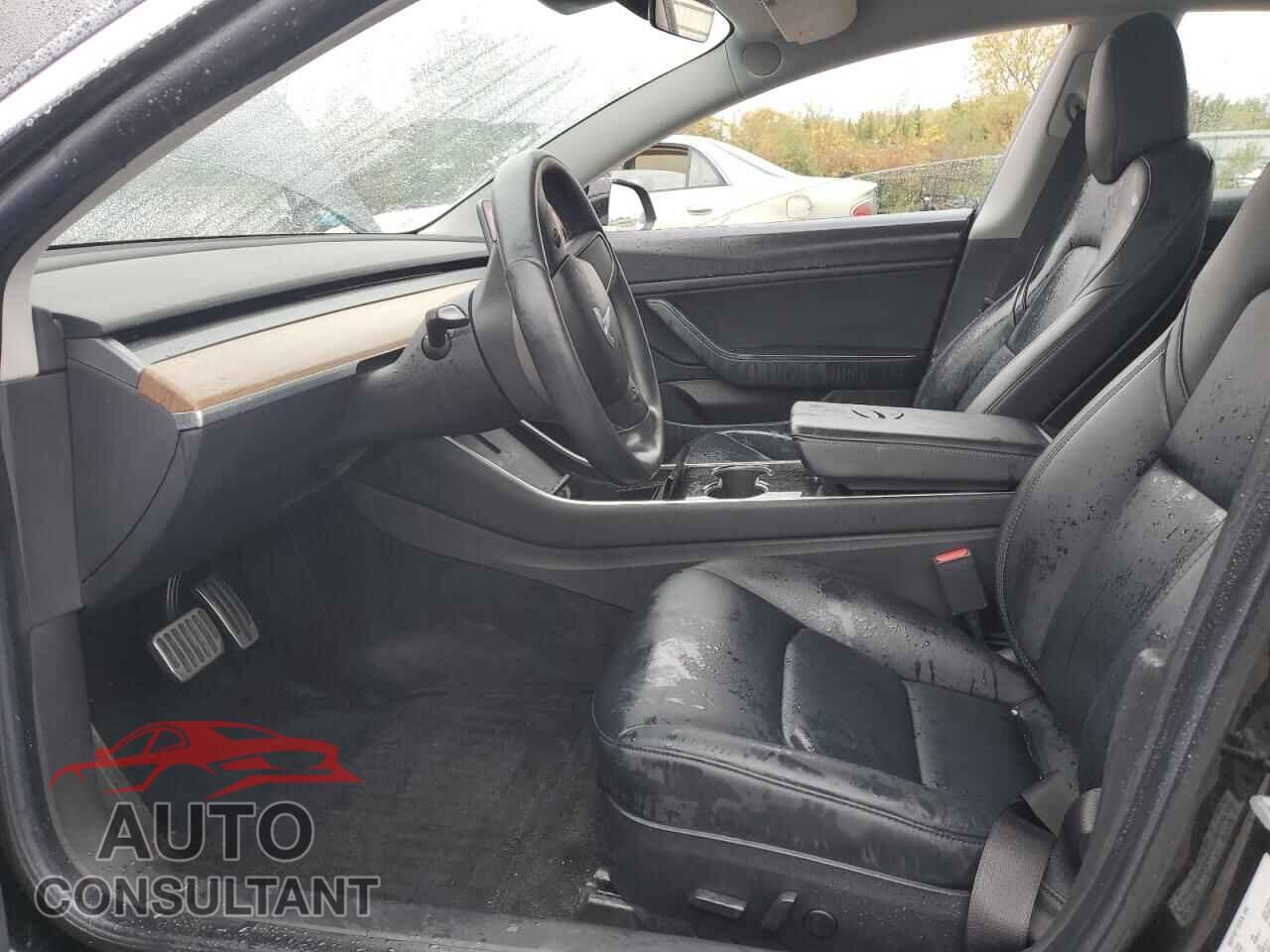 TESLA MODEL 3 2019 - 5YJ3E1EA2KF398502