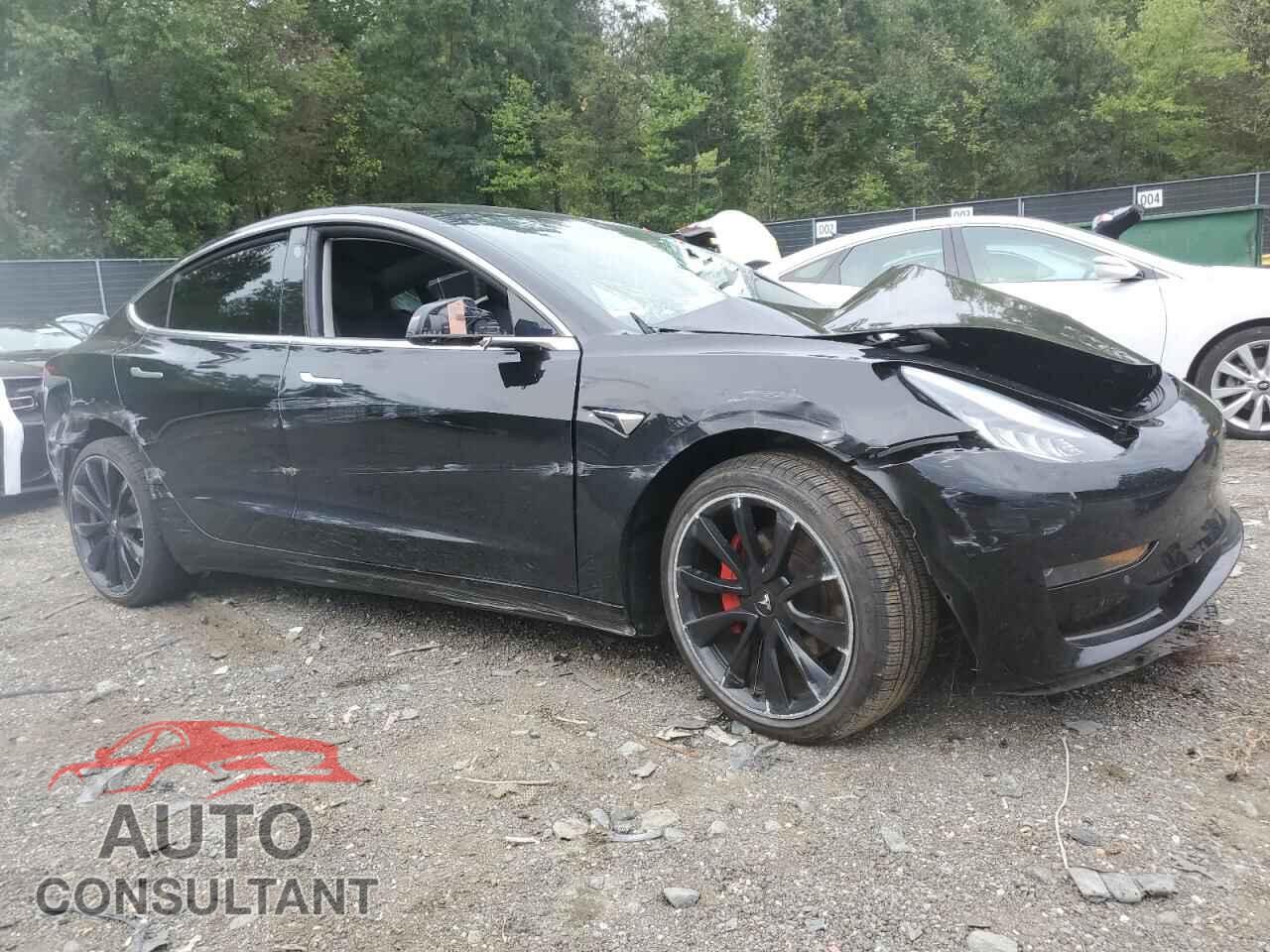 TESLA MODEL 3 2019 - 5YJ3E1EA9KF416994