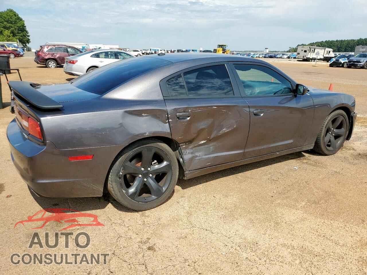 DODGE CHARGER 2014 - 2C3CDXHG1EH359067