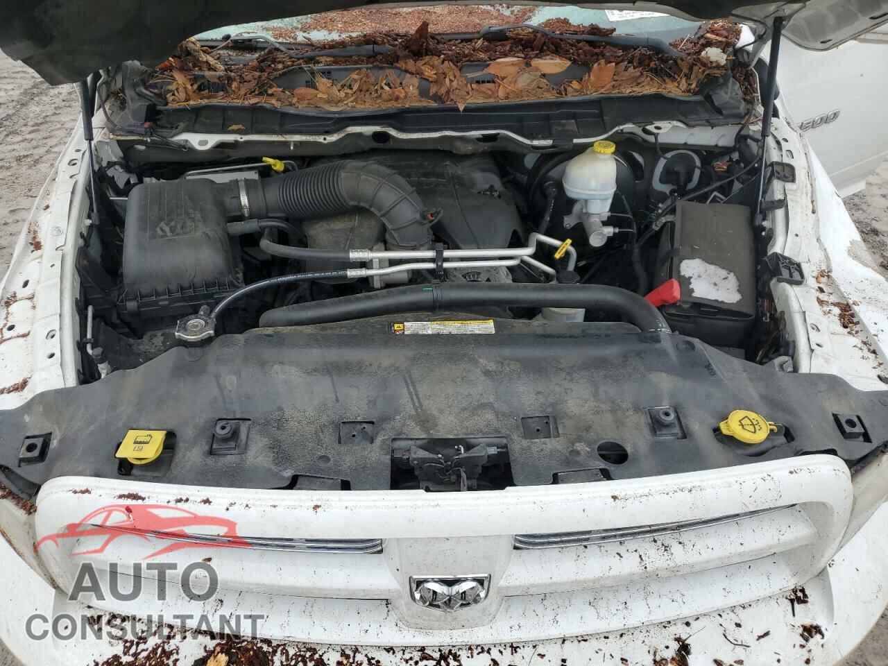 DODGE RAM 1500 2012 - 1C6RD7MT2CS112579