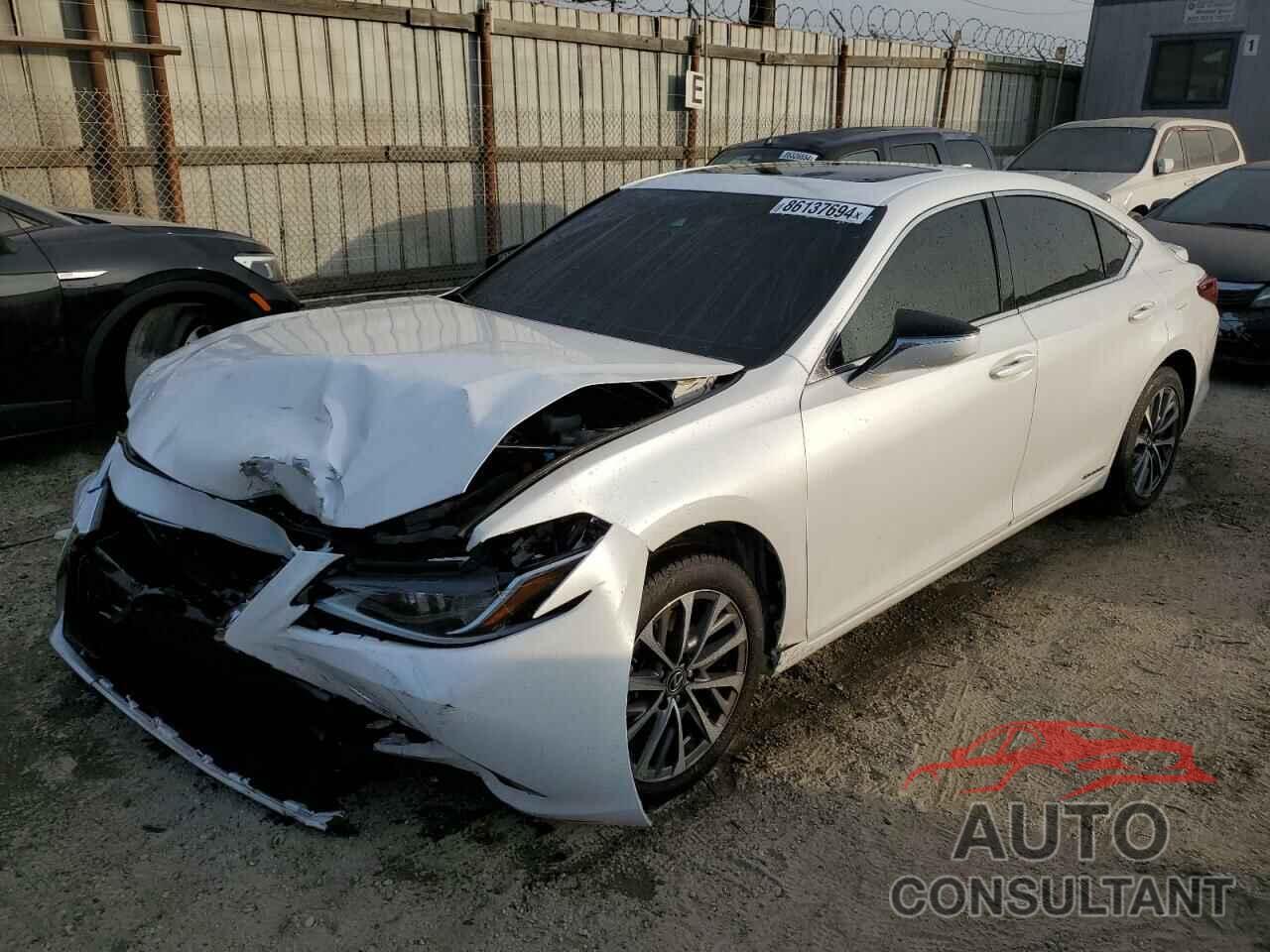 LEXUS ES300 2022 - 58ACA1C13NU015522