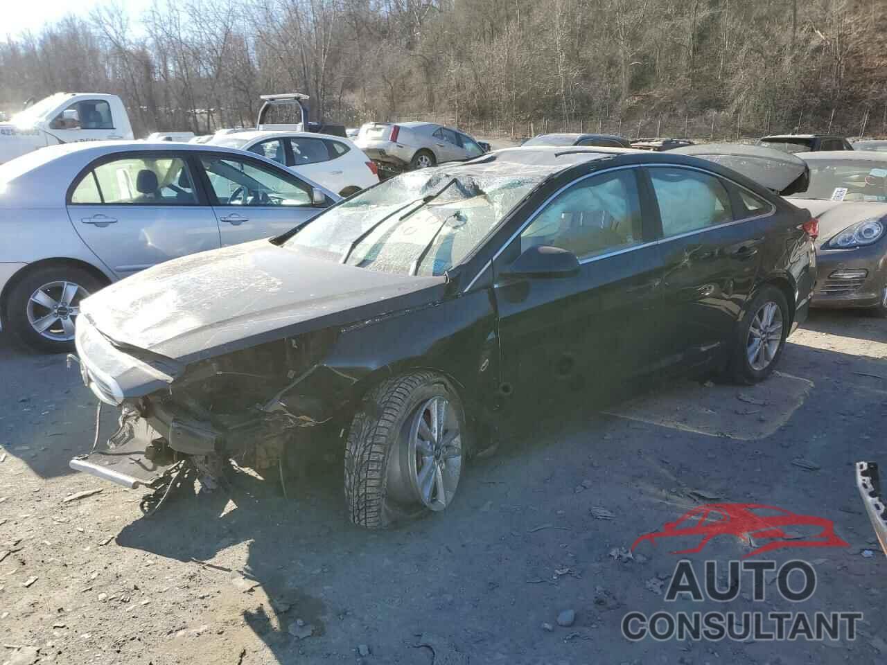 HYUNDAI SONATA 2016 - 5NPE24AF3GH337849