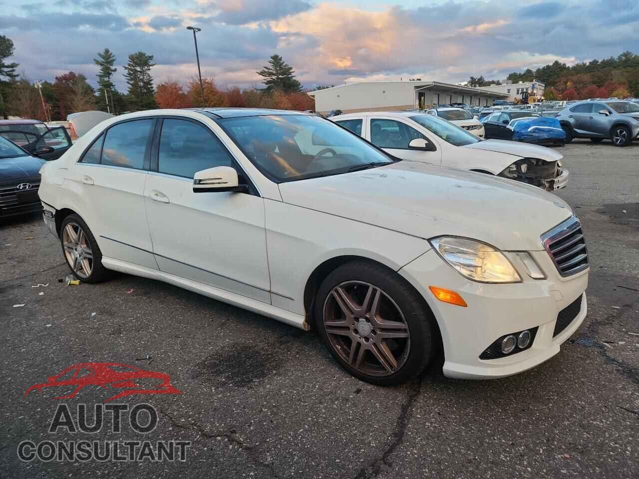 MERCEDES-BENZ E-CLASS 2010 - WDDHF7CB7AA224049