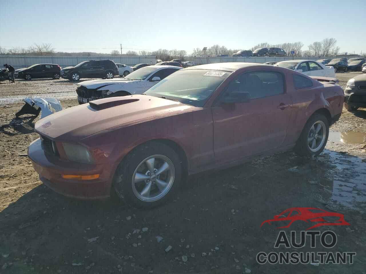 FORD MUSTANG 2009 - 1ZVHT82H795128776