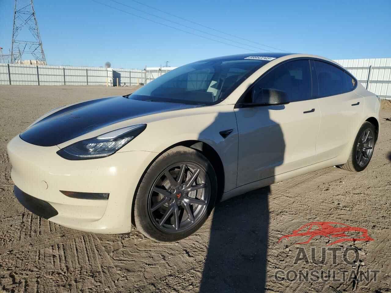 TESLA MODEL 3 2019 - 5YJ3E1EB5KF194785