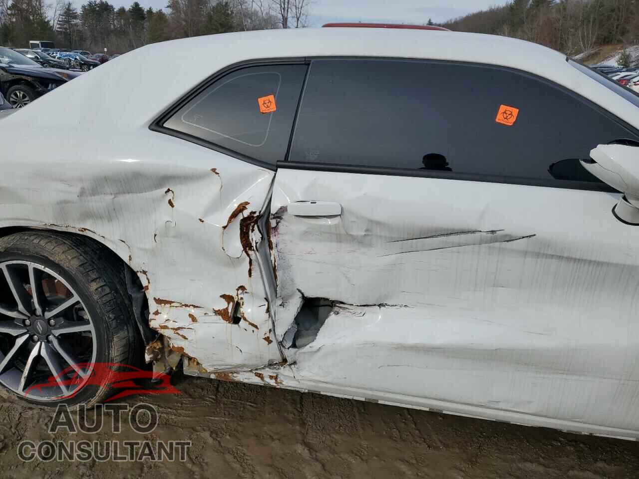 DODGE CHALLENGER 2023 - 2C3CDZBT3PH540062