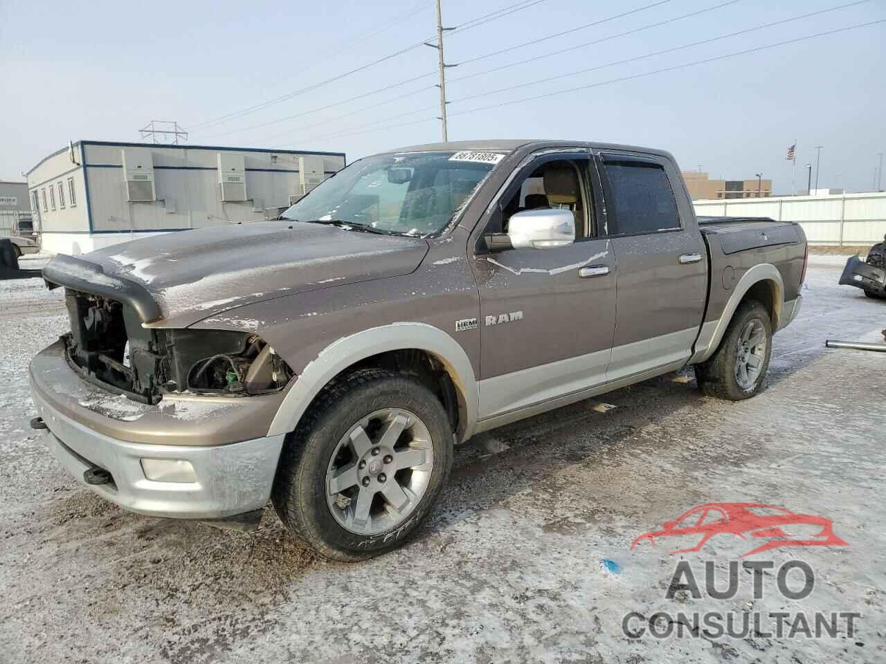 DODGE All Models 2010 - 1D7RV1CT0AS256087