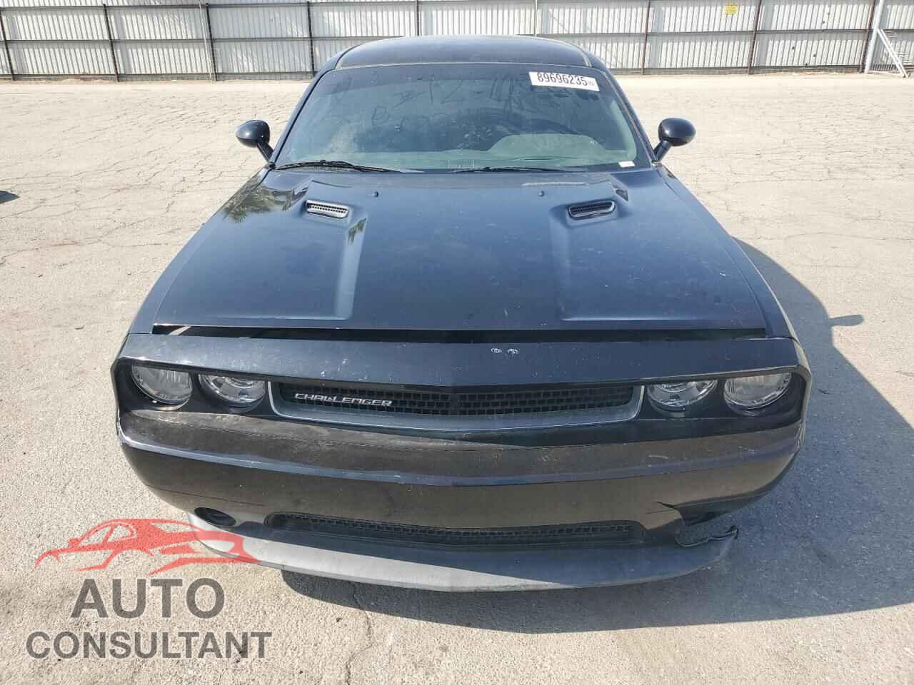 DODGE CHALLENGER 2013 - 2C3CDYAG2DH719204
