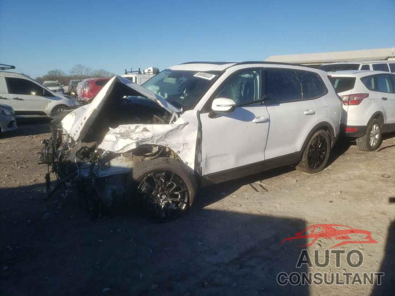 KIA TELLURIDE 2021 - 5XYP5DHCXMG185647