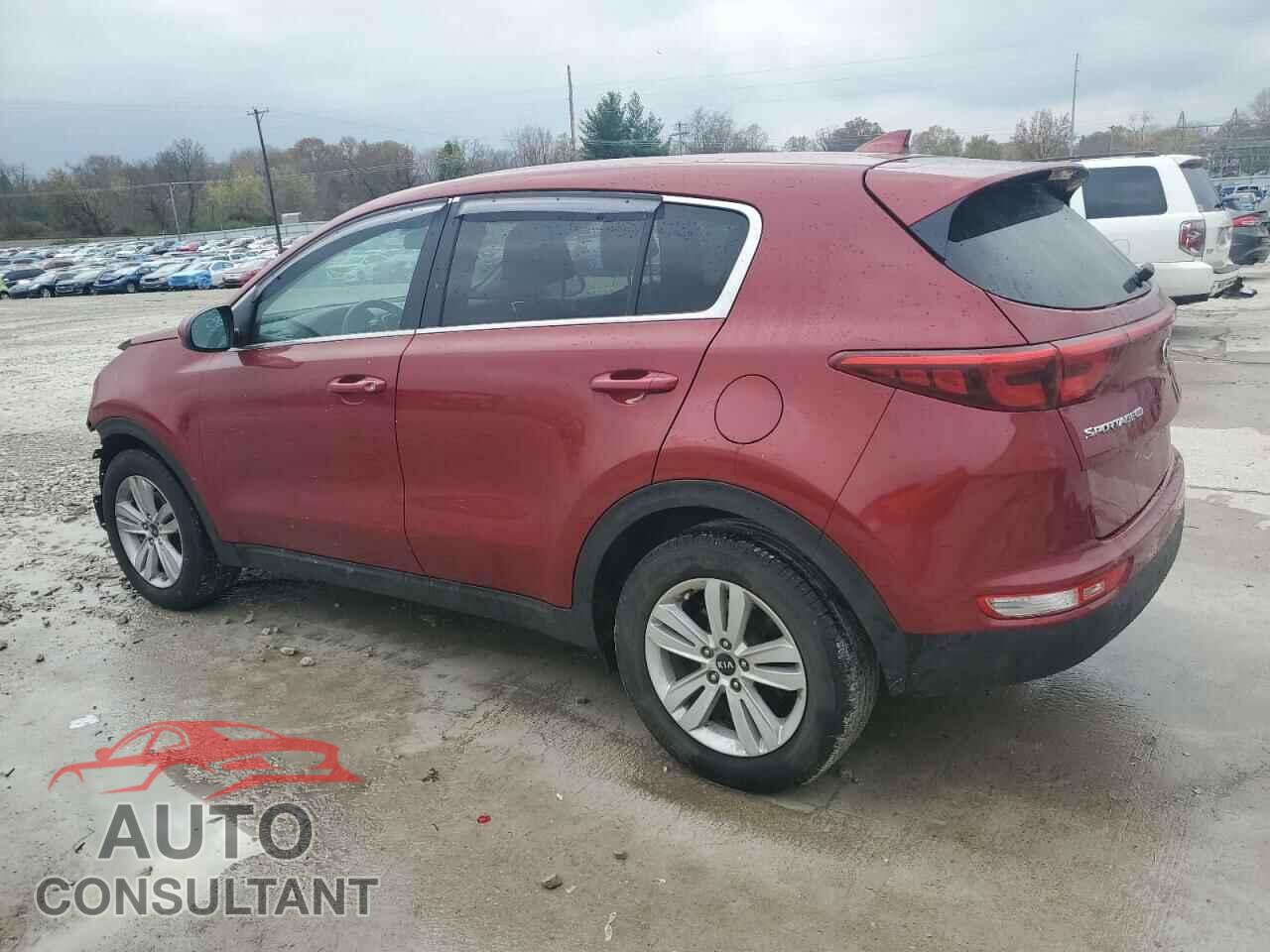 KIA SPORTAGE 2017 - KNDPM3AC5H7085482