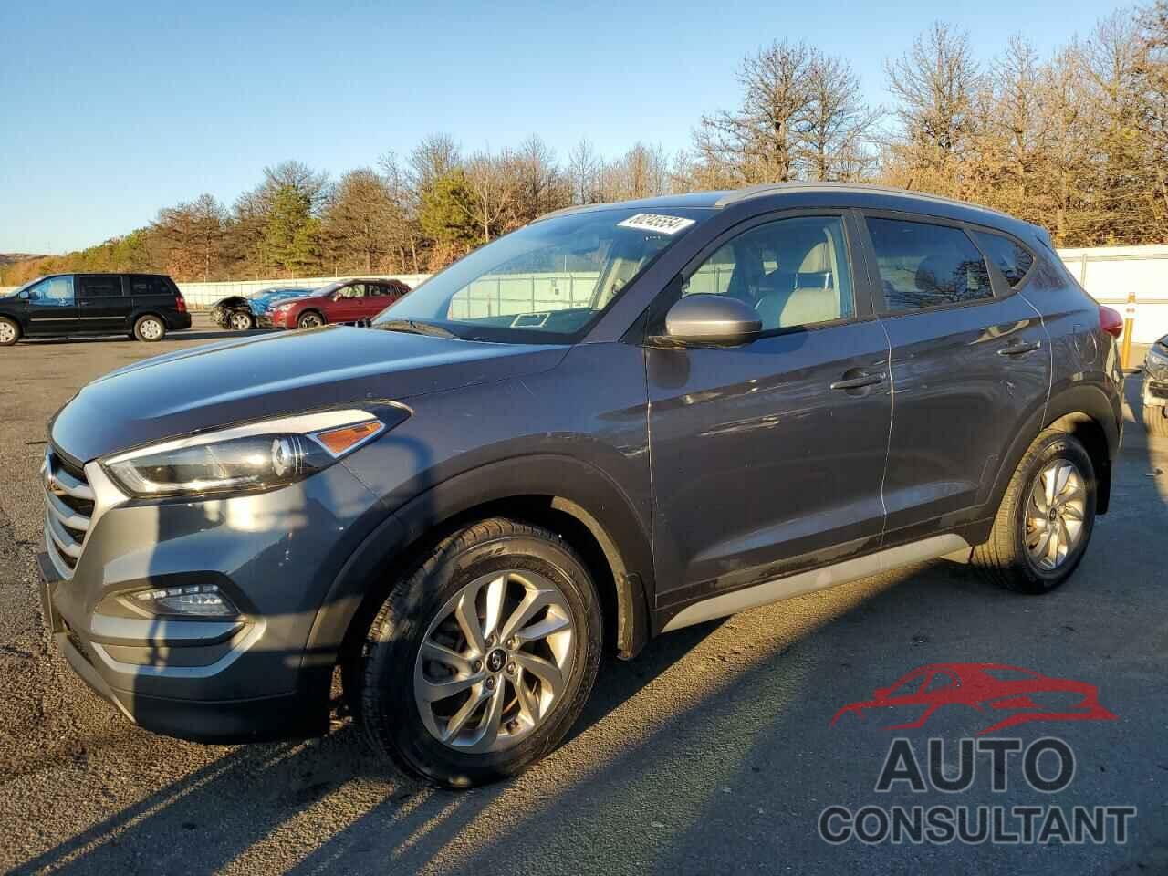 HYUNDAI TUCSON 2017 - KM8J3CA42HU410586