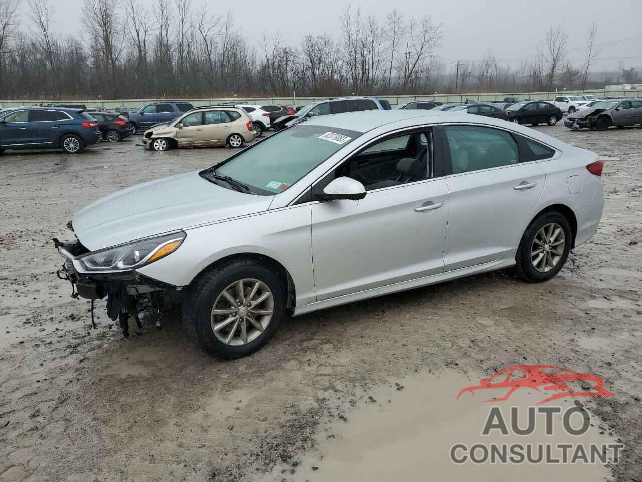HYUNDAI SONATA 2019 - 5NPE24AF4KH787616