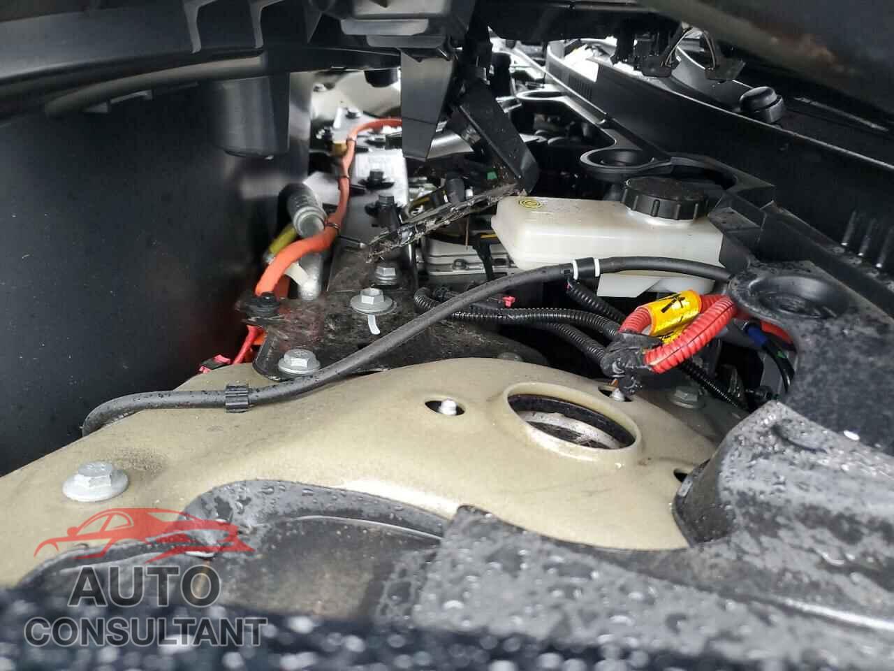 TESLA MODEL 3 2024 - 5YJ3E1EA2RF731646