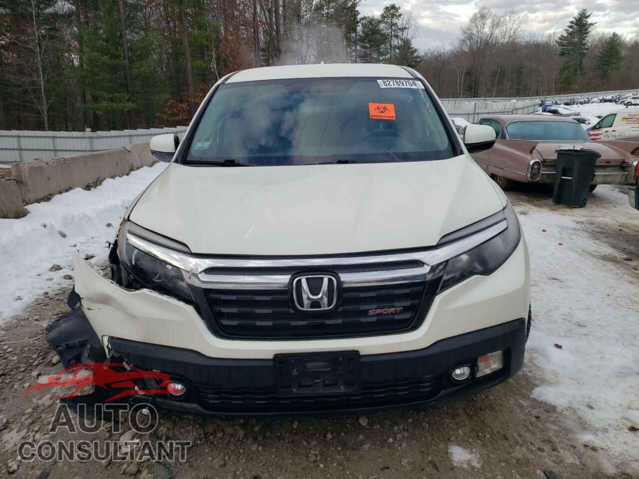 HONDA RIDGELINE 2019 - 5FPYK3F12KB023791