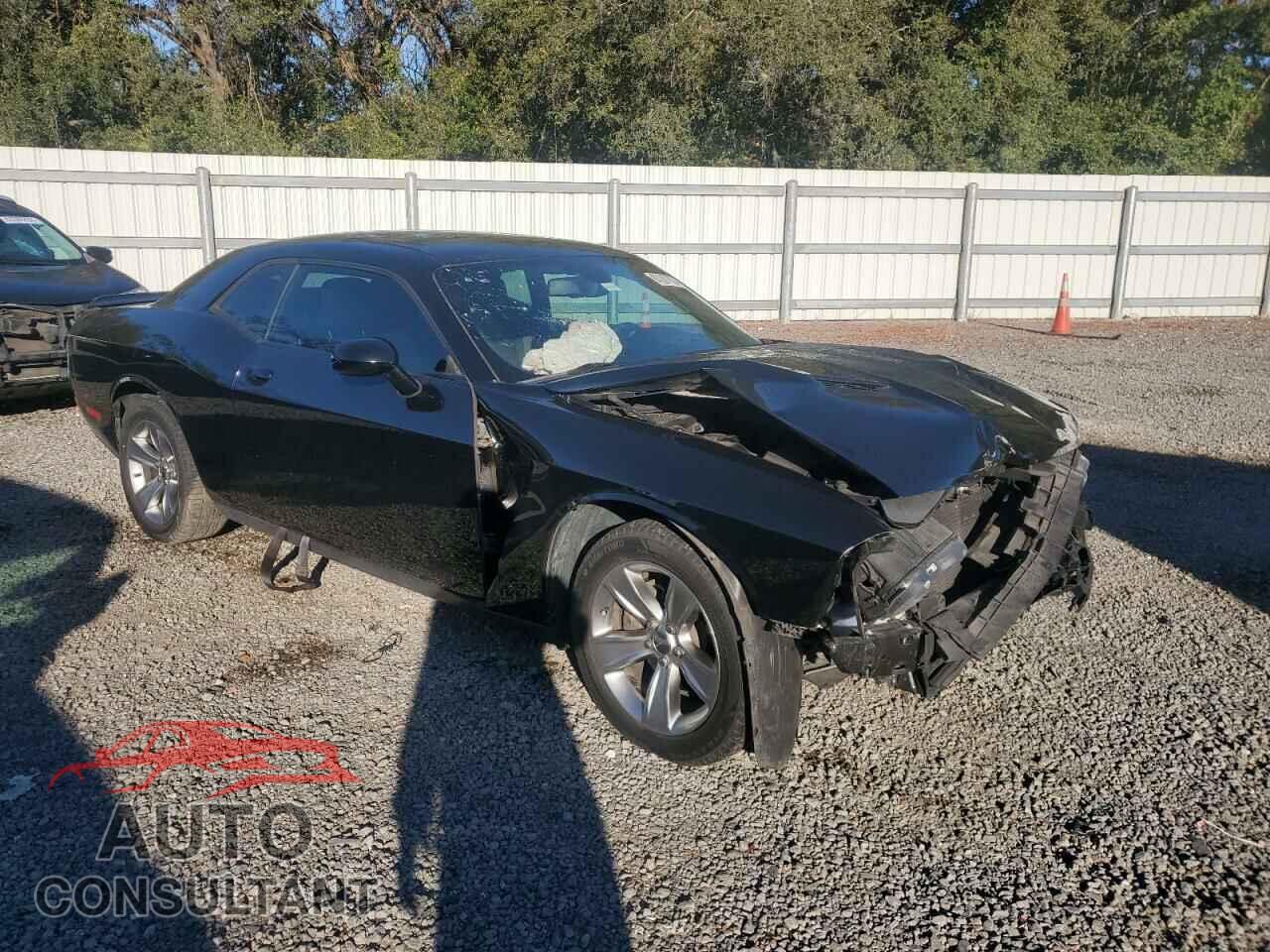 DODGE CHALLENGER 2019 - 2C3CDZAGXKH672135