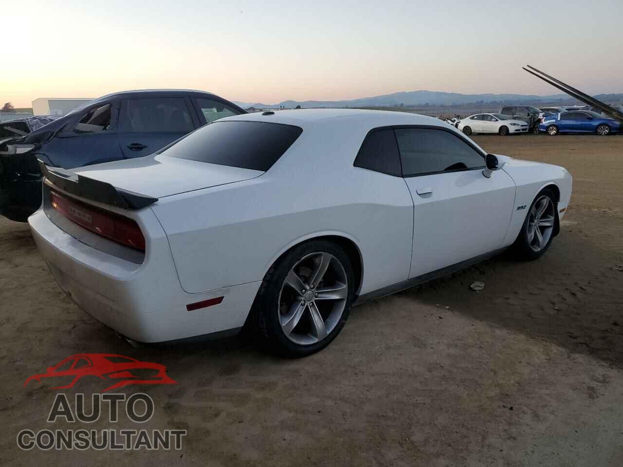 DODGE CHALLENGER 2013 - 2C3CDYAG3DH540315