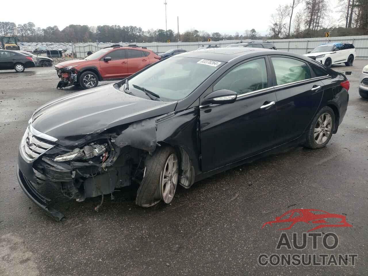 HYUNDAI SONATA 2013 - 5NPEC4AC7DH624089