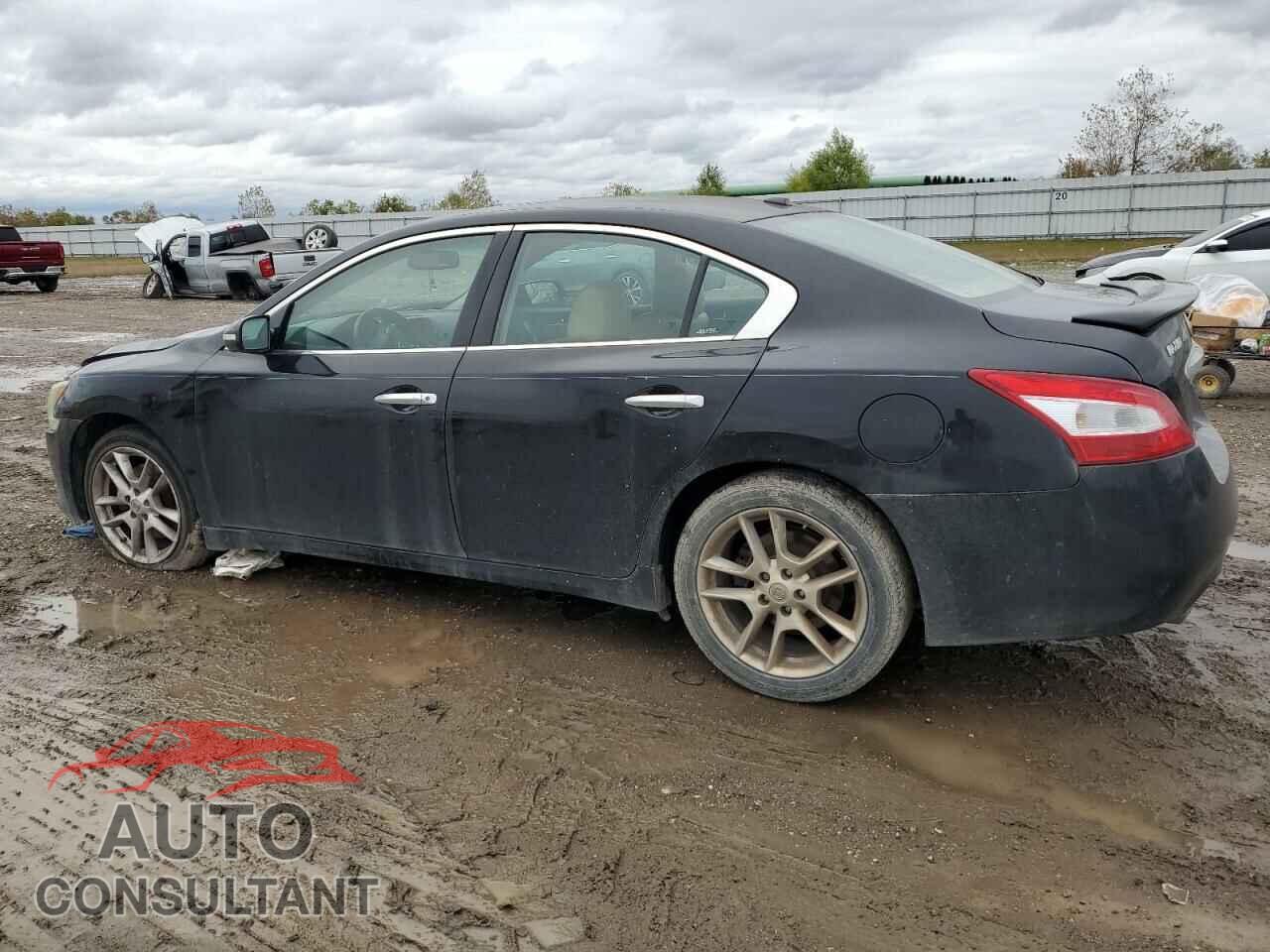 NISSAN MAXIMA 2011 - 1N4AA5APXBC858576
