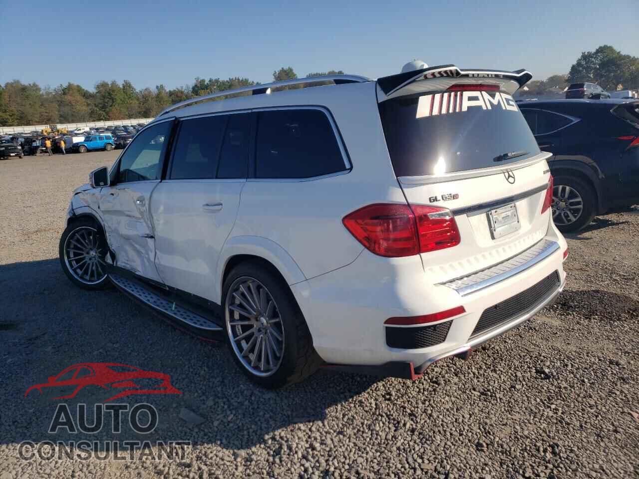 MERCEDES-BENZ GL-CLASS 2014 - 4JGDF7EE2EA317630
