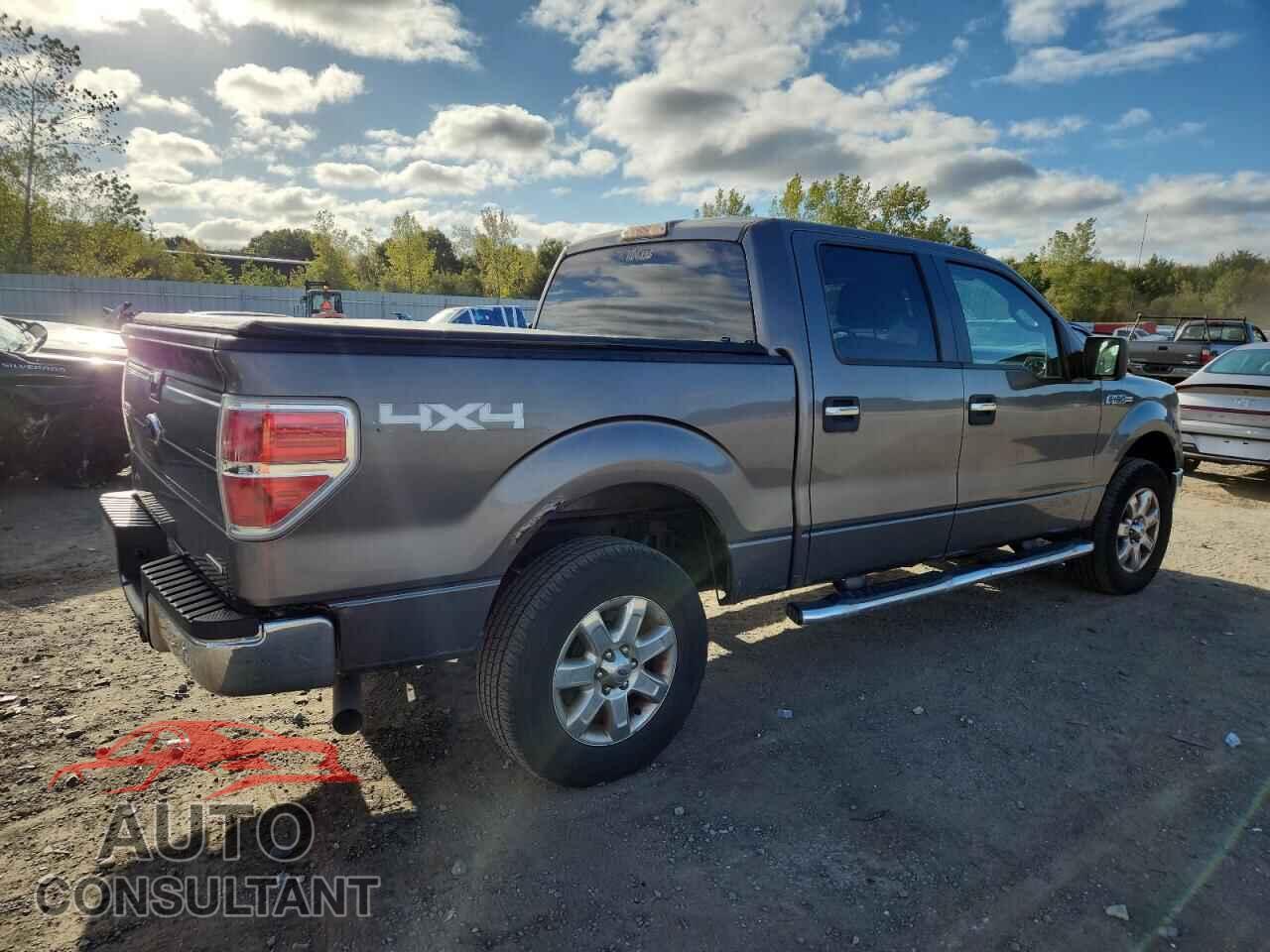 FORD F-150 2013 - 1FTFW1EF6DFD51686