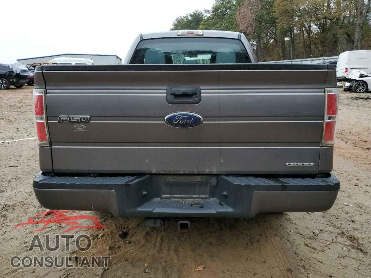 FORD F-150 2013 - 1FTFX1CF8DFD75455